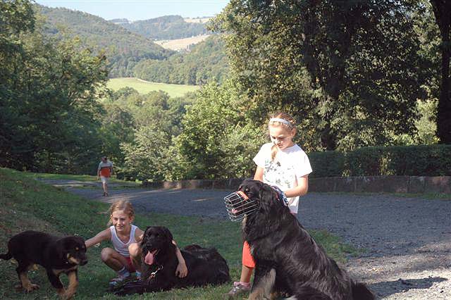 Zleva psi Baxy, Berynka a Nasty, holky Izabelka a Maruka na vlet u zmku v Hradci nad Moravic 