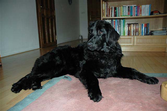 Bery at home