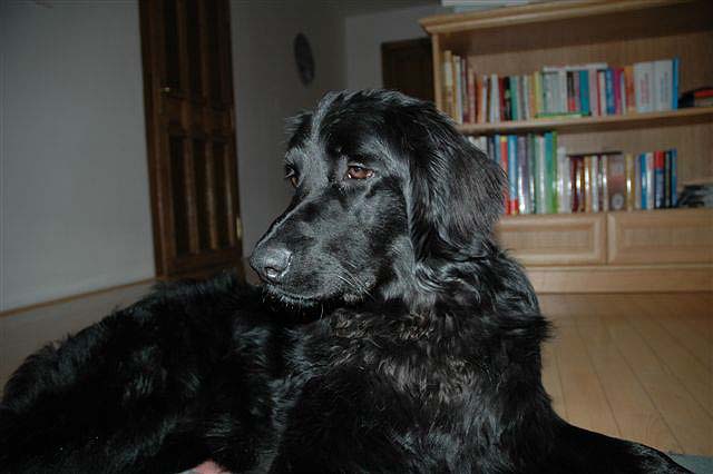Bery at home