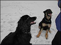 Bery a Bianka jr. are waiting for goody