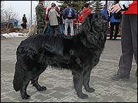 Beri - 11 měsíců
