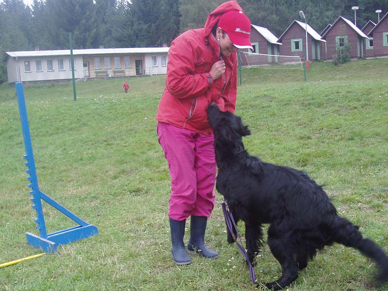 Bery is doing agility