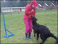 Bery is doing agility