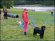 Bery is waiting for agility