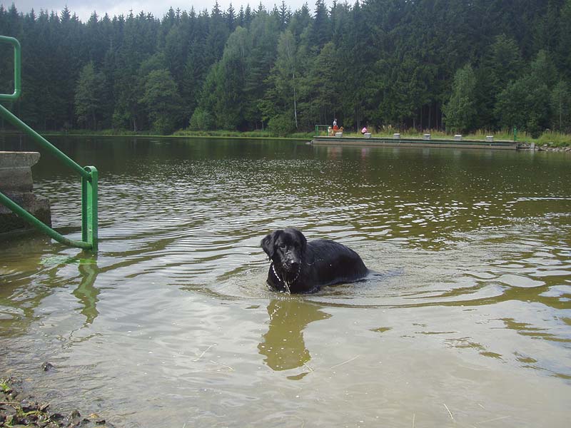 Bery in a pond