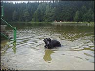Bery in a pond