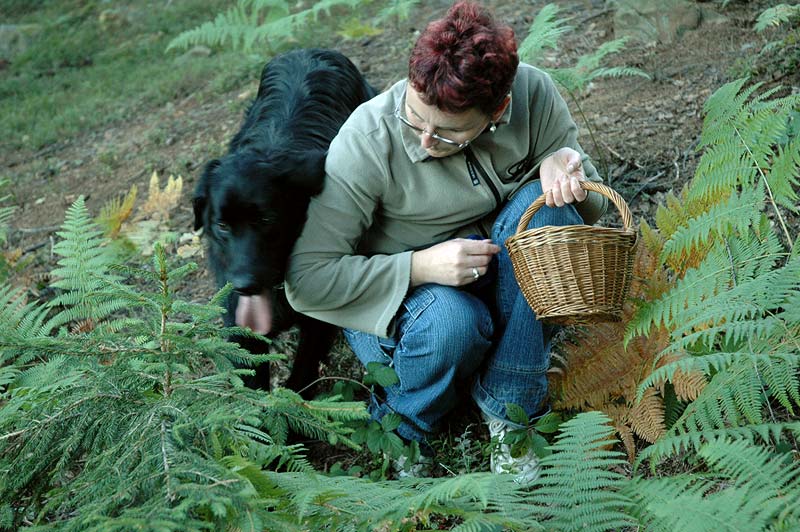 Bery is helping me to look for mushrooms
