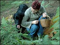 Bery is helping me to look for mushrooms 