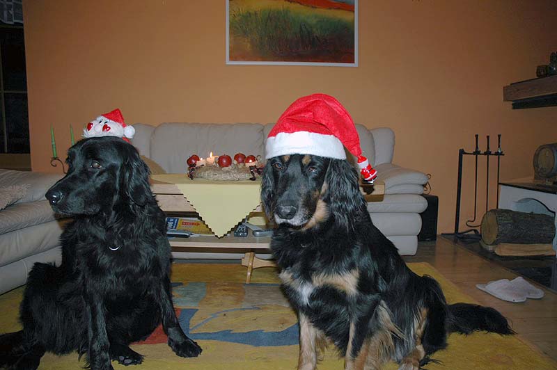 Bianka a Beri ped vnocemi