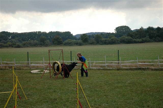 Agility bavila ob moje holky, Izabelku i Berynku