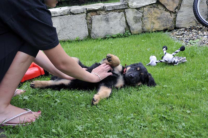 Brenda se seznamuje s rodinou.