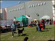 Vstava Ostrava 10.4.11