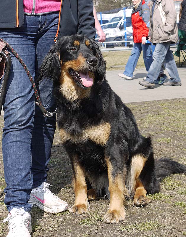 Brenda na NVP Ostrava