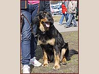 Brenda na NVP Ostrava