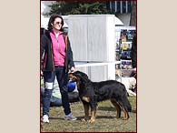 Brenda v kruhu