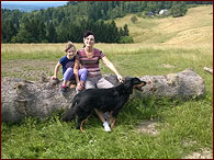 Brenda ve vtru