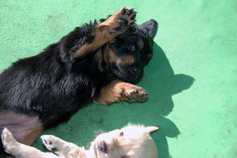 ernoznakek a plavek :-)