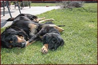 Cristian a Brenda v objet - siesta