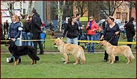 Ti sestry :-) - zleva Daisy, Diana a Doris z Rajskho kopce