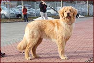 Edgar