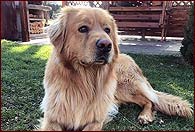 Edgar 2 roky