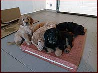 Vrh G - naposledy spolu