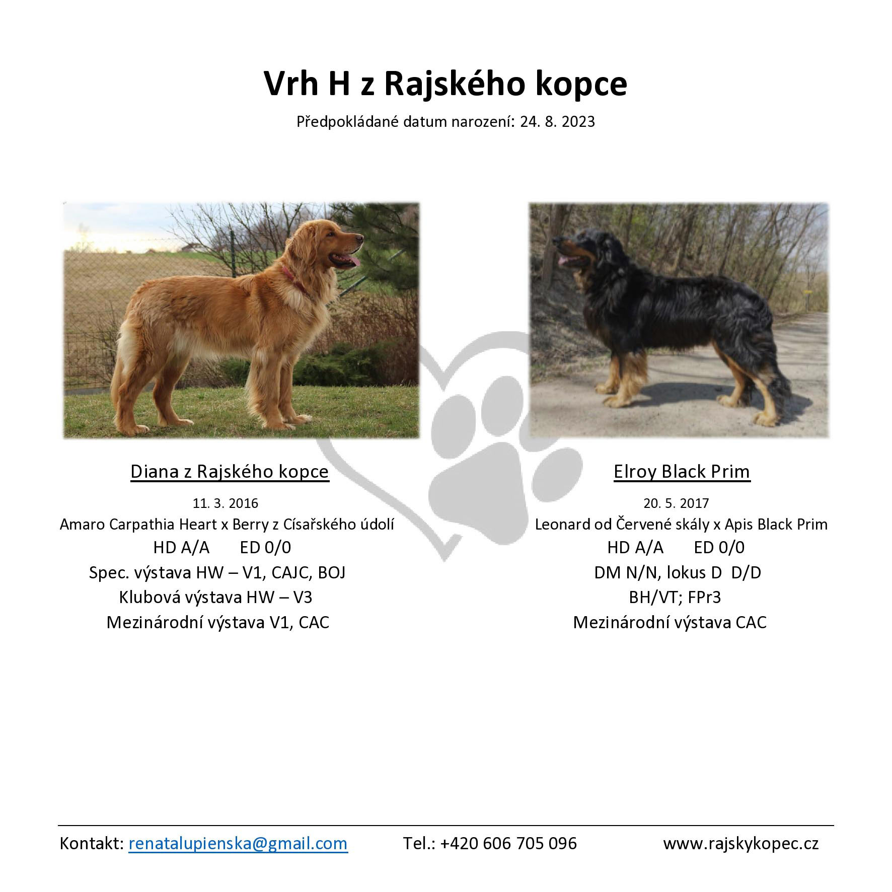 Dianka - Vrh H