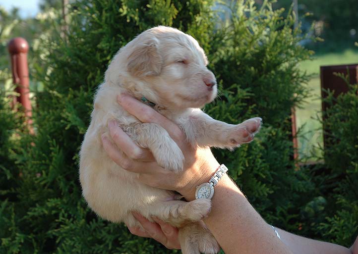 Benedikt  - 3 Weeks