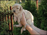Benjamn - 3 Weeks