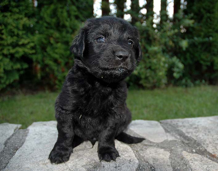 Bertk - 4 Weeks
