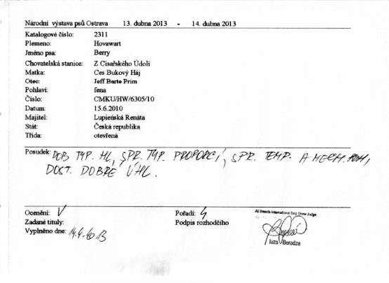 Brenda na NVP Ostrava