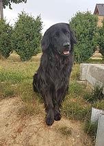 Cyril 4 roky