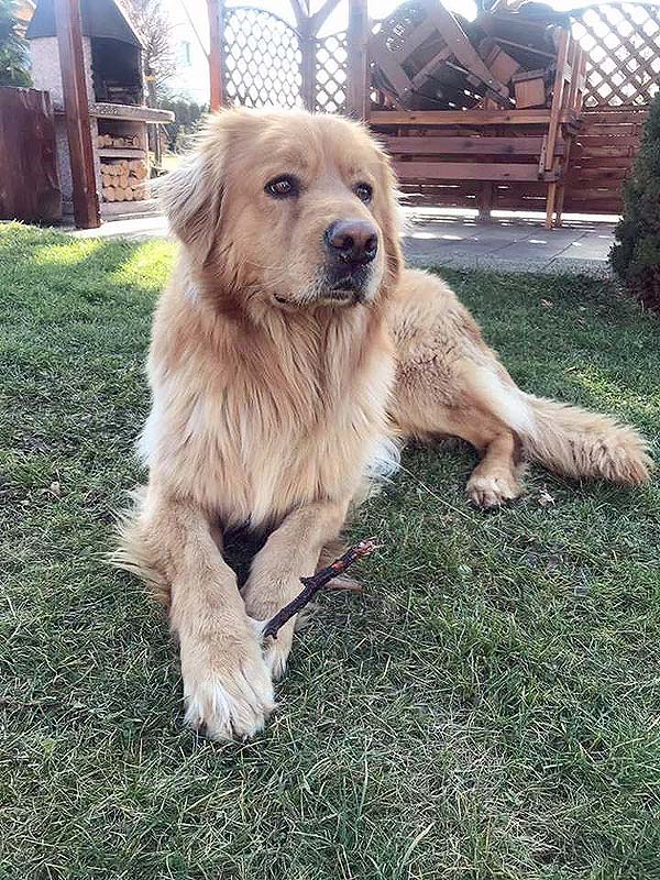 Edgar