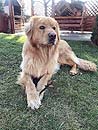 Edgar