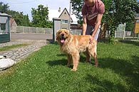 Edgar