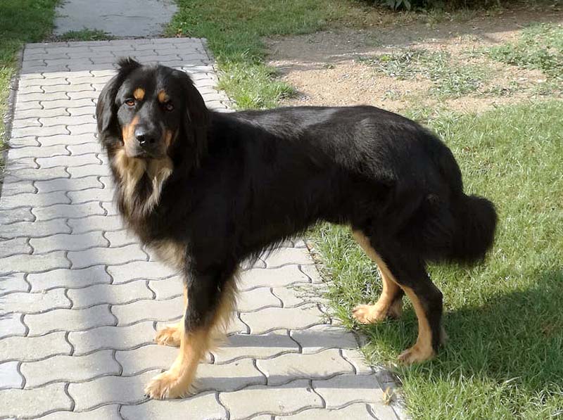 Eli 2 roky