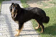 Eli 2 roky
