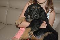 Enzo - 8 tdn