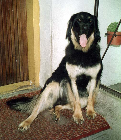 Aramis 1 year