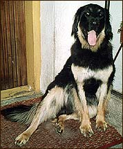 Aramis 1 rok