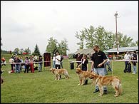 Brkov: prvn - Archie, druh - Atos (Bono) - Milovice 2005