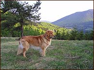Archie na slovensk klubovce Bojnice 07