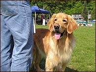 Archibald