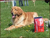 Archibald