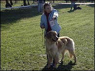 Atos - Milovice - hovawart vstava 2005
