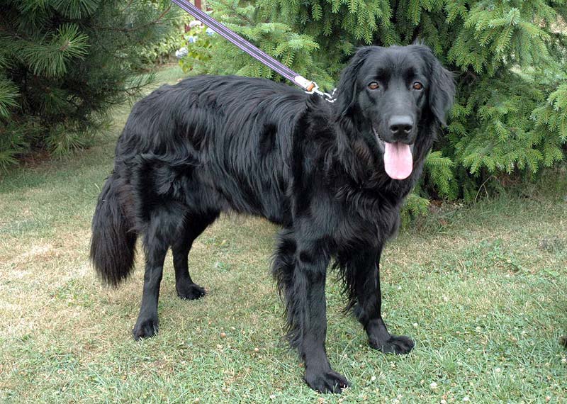 Bery in the garden - 13 months