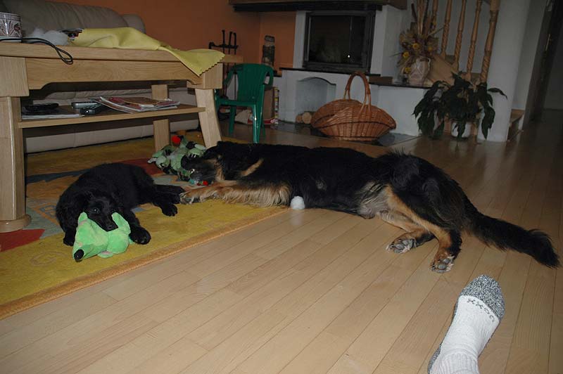 Beri a hraka