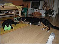 Beri and toy