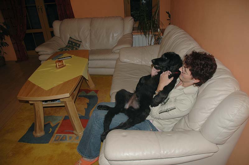 We are watching TV