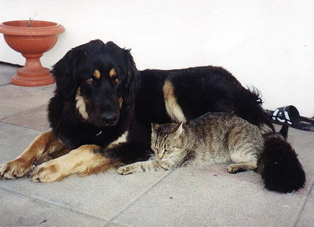 Bianka (2 roky) a Damian